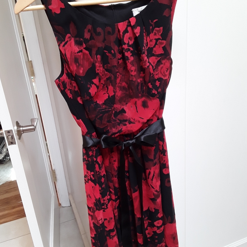 Lovely Dress Barn Dress